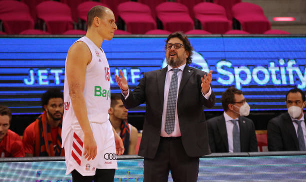 显得有些孤 显得有些孤