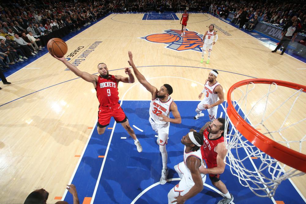 峭壁上的芭 峭壁上的芭